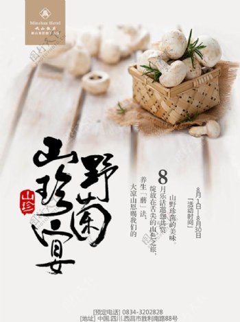 野菌山珍宴美食海报
