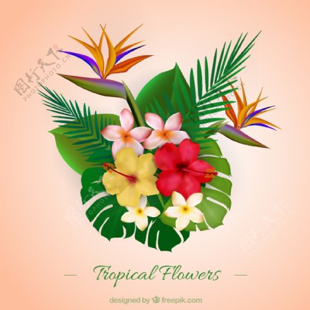 彩色热带植物花束矢量