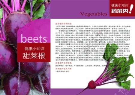 健康小知识画册蔬菜类甜菜图高清PSD下载