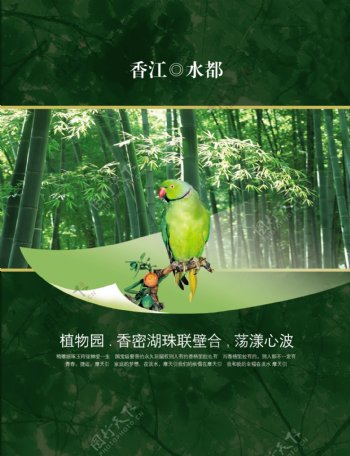 香江水都绿色生态广告PSD素材