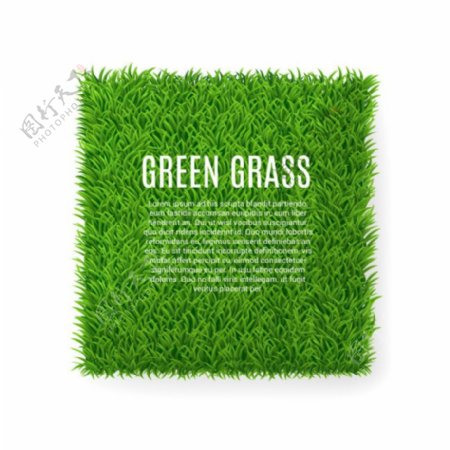 方形绿色草坪矢量素材