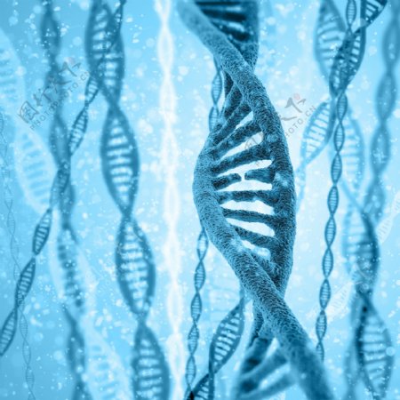 蓝色DNA结构图片