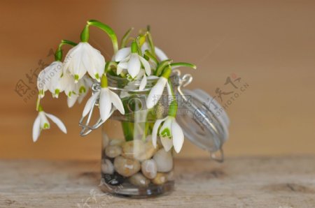 桌面上的白色小花盆栽