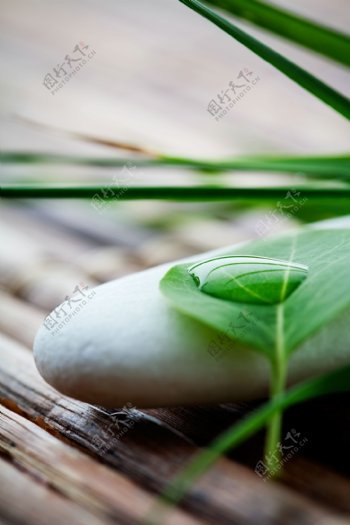 绿叶水珠与鹅卵石