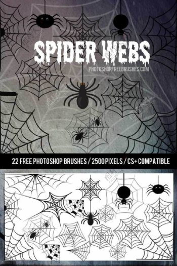 可爱卡通蜘蛛网蜘蛛Photoshop笔刷下载