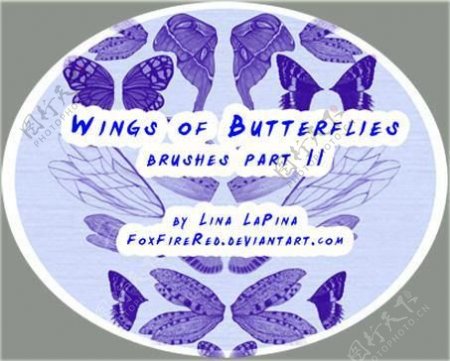 漂亮的蝴蝶翅膀PS笔刷下载.2