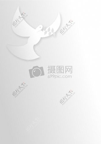 鸽子和橄榄枝white.jpg
