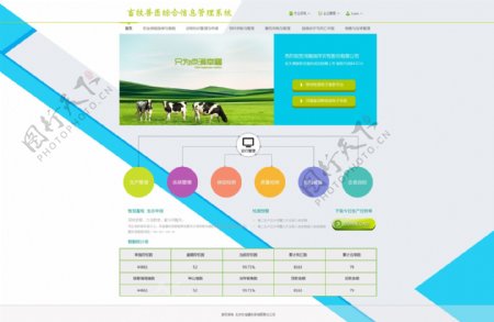 畜牧类网站首页设计
