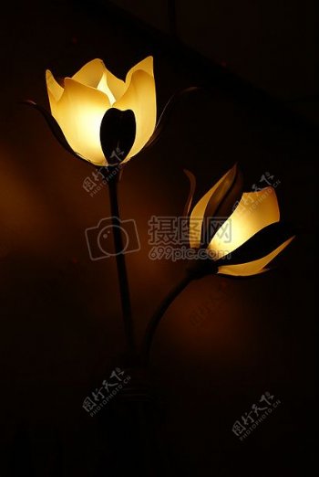 光明黑暗灯灯具灯饰花卉装饰大气舒适墙灯心情照明