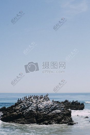 海洋岩石海鸥马里布狮子座卡里略