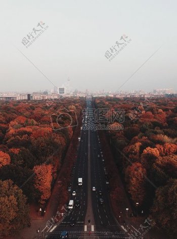 城市街道天际线雾秋秋天柏林灰色天空蒂尔加滕