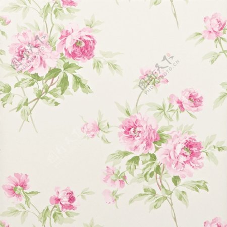 粉色花朵图案壁纸