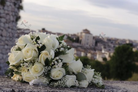 新娘白色玫瑰手捧花图片