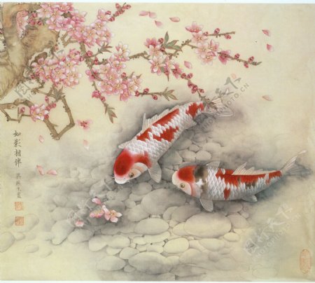 鲜花与金鱼油画背景图片