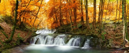 美丽秋天树林小溪风景图片