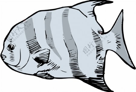 五彩小鱼水生动物矢量素材EPS格式0257