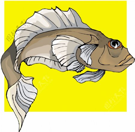 五彩小鱼水生动物矢量素材EPS格式0393