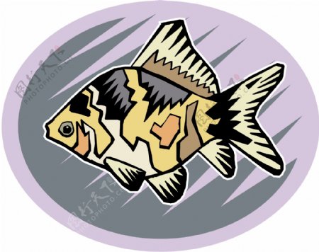 五彩小鱼水生动物矢量素材EPS格式0675