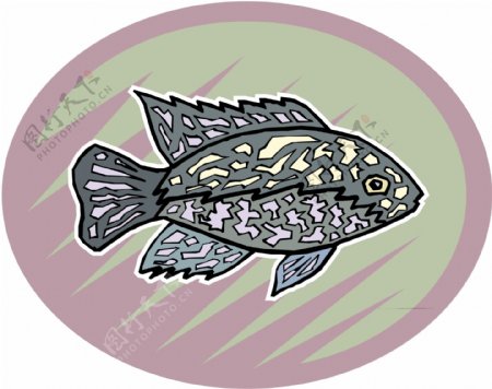 五彩小鱼水生动物矢量素材EPS格式0708