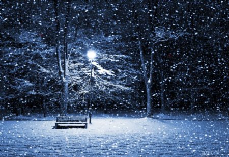 冬季夜晚雪景图片