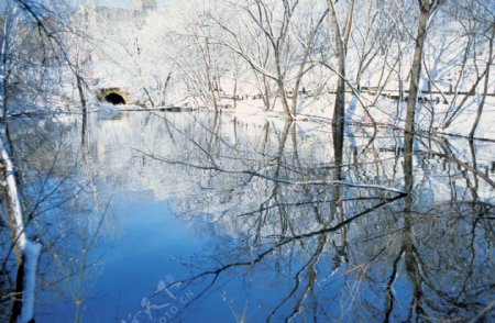 冬天自然风景图片图片