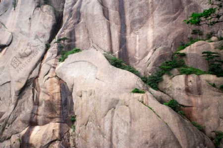 黄山的石壁图片