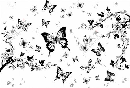 蝴蝶和花纹矢量图图片