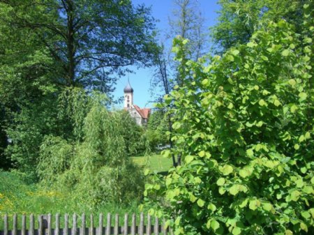 树后的修道院教堂