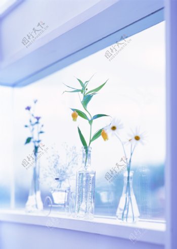 放在窗台上的鲜花图片