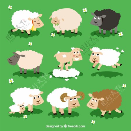 可爱卡通绵羊