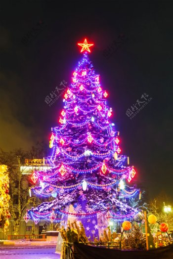 圣诞树夜景图片