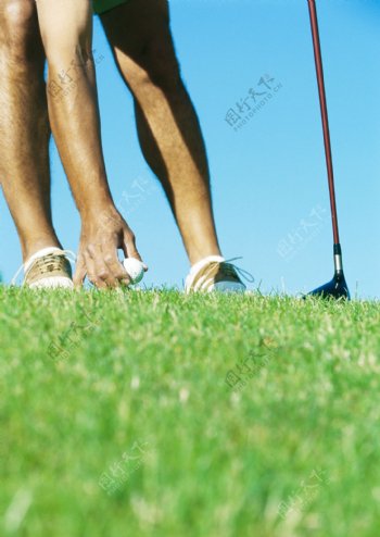 草地上固定好高尔夫球球图片