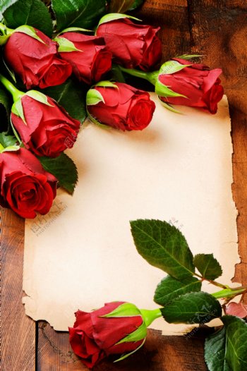 玫瑰与纸张背景图片