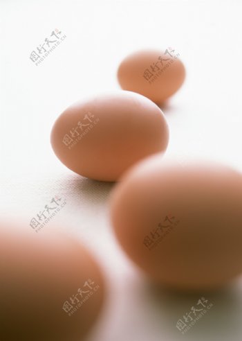 鸡蛋特写图片