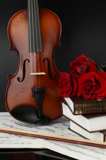 小提琴与玫瑰花图片