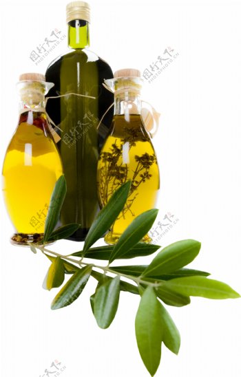 油瓶和树叶图片
