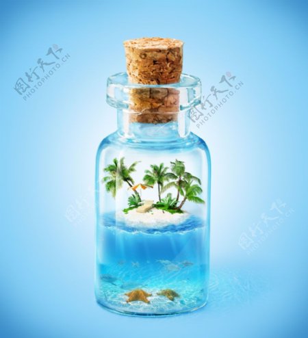 玻璃瓶里的椰子树和海星