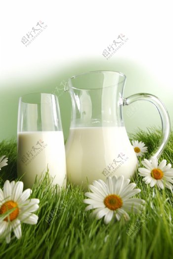 鲜花丛中的牛奶瓶图片