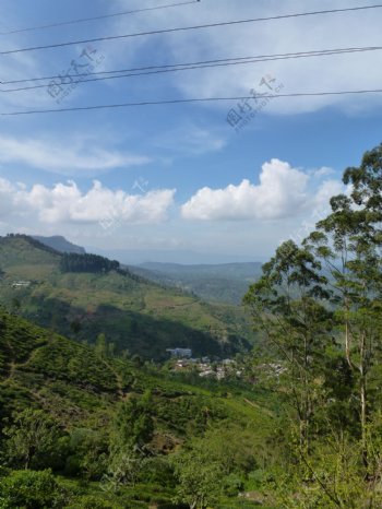 斯里兰卡热带雨林图片