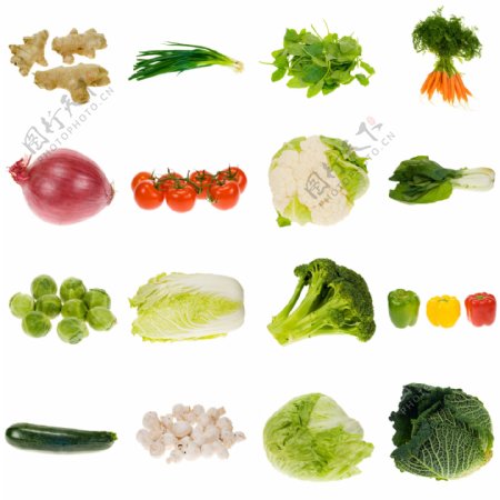 16种高清蔬菜图片素材下载