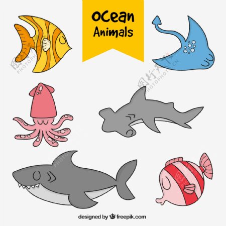 一组闭眼海洋生物动物