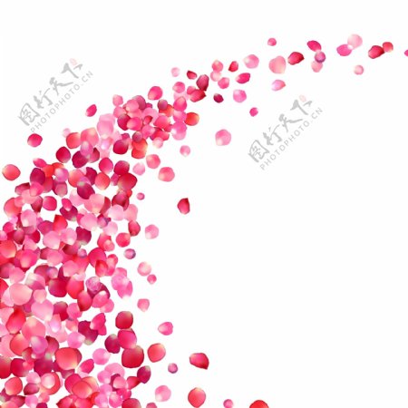 粉色玫瑰花瓣弧形边框矢量海报设计素材