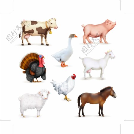 8款家畜与家禽设计矢量素材