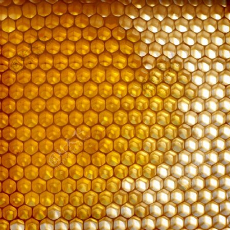 蜂巢黄色背景图片