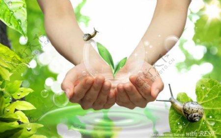 绿色生态海报PSD分层素材