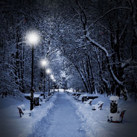 夜晚雪景图片
