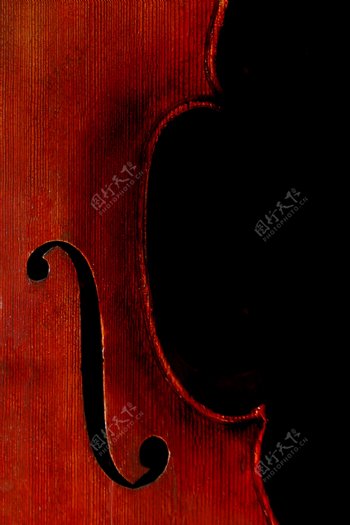 小提琴琴身图片
