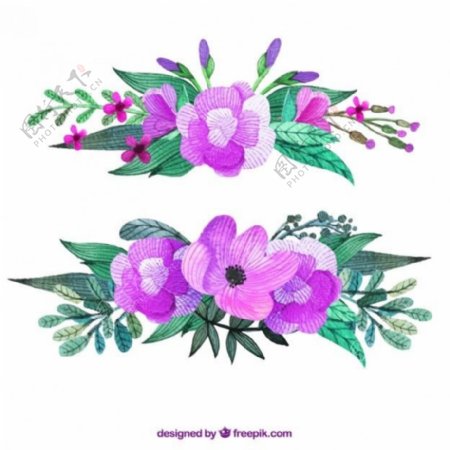 紫色的花胸花