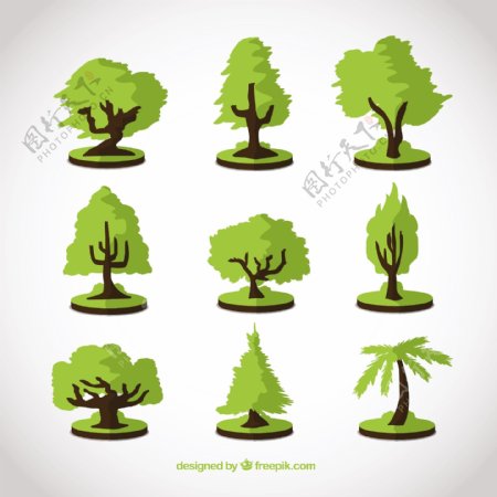 绿色树木的采集