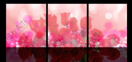 红玫瑰无框画高清图片PSD模板